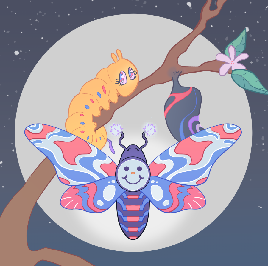 Metamorphosis